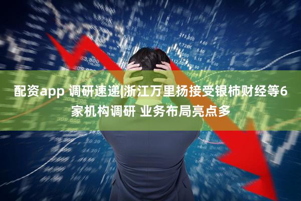 配资app 调研速递|浙江万里扬接受银柿财经等6家机构调研 业务布局亮点多